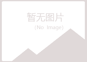 青岛崂山斑驳机械有限公司